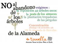 arboles de la alameda concentración