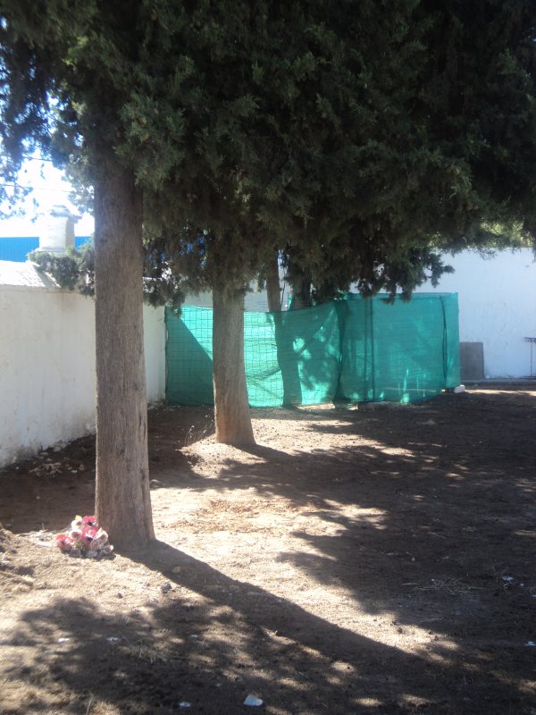 Cata en el Cementerio de Loja (Granada)