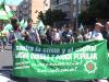 Manifestación en Sevilla: 1º de Mayo. Contra el Paro y la Precariedad. Huelga General + fotos (pict0719.jpg)